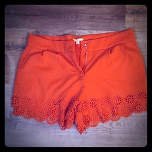 Gianni Bini Shorts